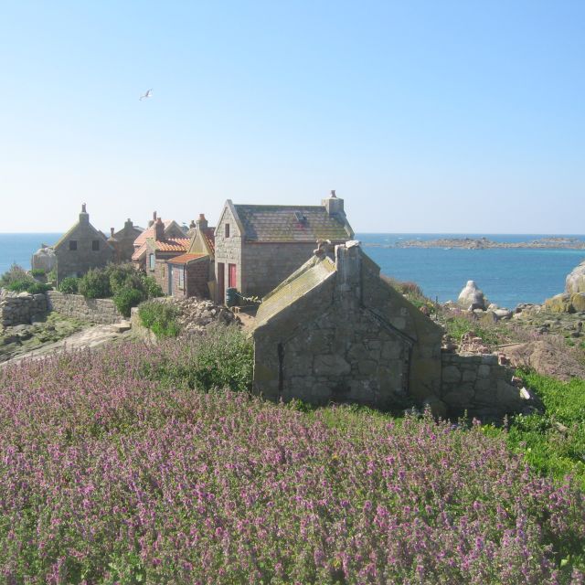 Les Minquiers Kayak Tour Tours & Activity Session Visit Jersey